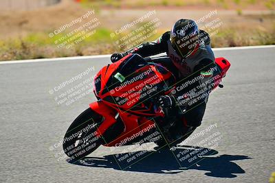 media/May-10-2024-2WTD (Fri) [[c88d7990af]]/Group C/Session 2-The Bowl/